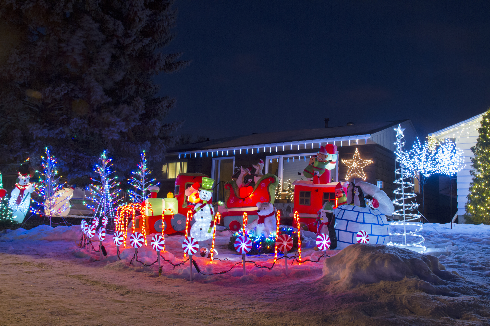 Candy Cane Lane Lights